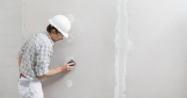 Best Commercial Mold Inspection  in Louisville, OH