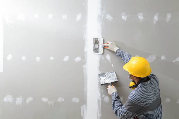 Best Crawl Space Mold Remediation  in Louisville, OH