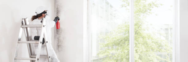 Best Air Quality Testing for Mold Spores  in Louisville, OH